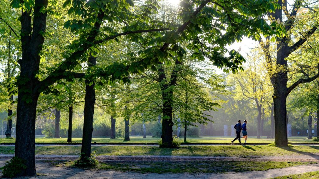 xu hướng nhà phố 2025